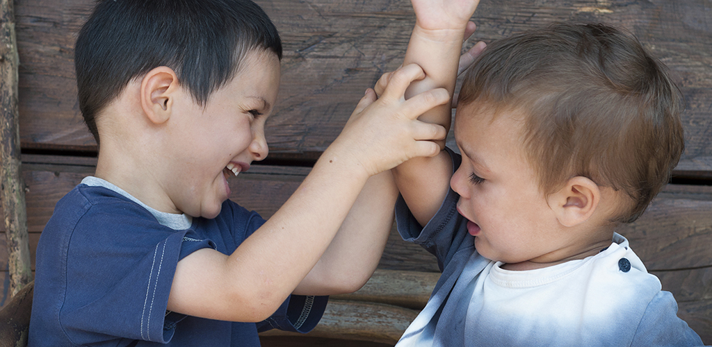 Should sibling aggression be a cause for concern? CLOSER