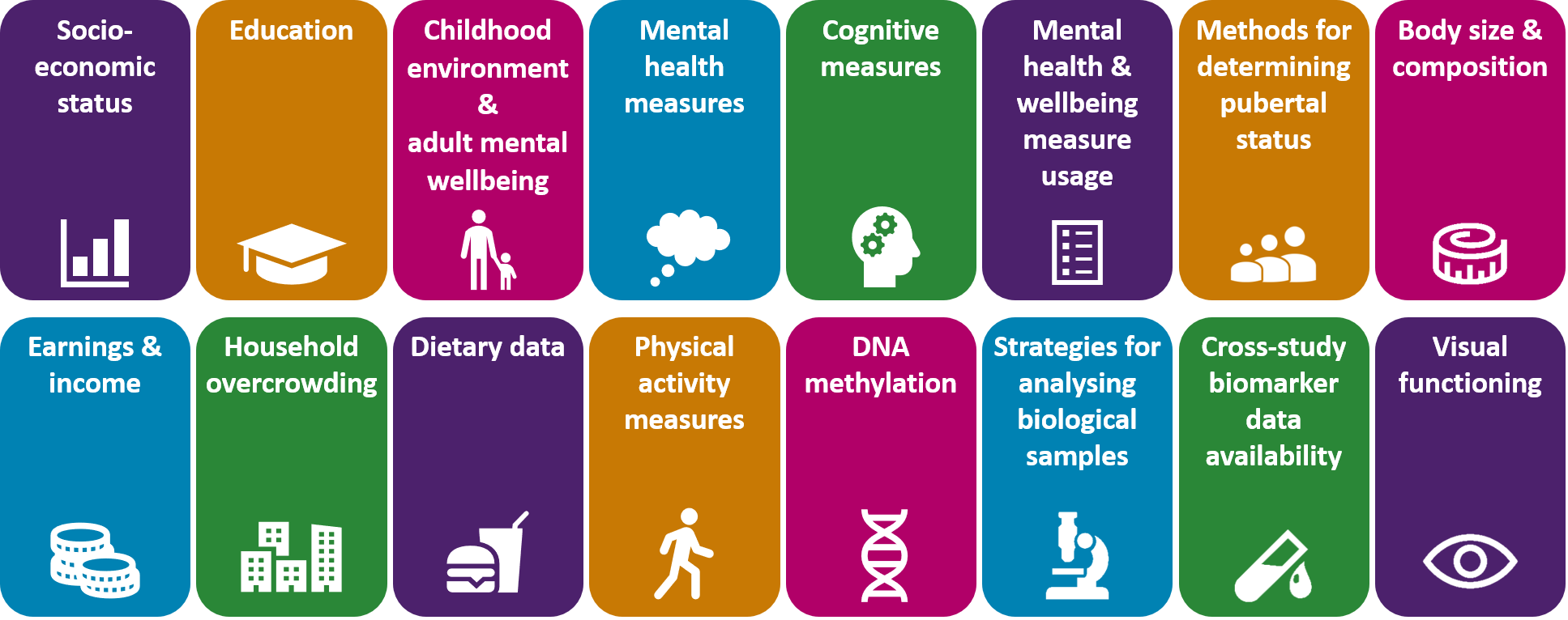 Graphic outlining the different harmonisation topics: socio-economic status, education, childhood environment and adult wellbeing, mental health measures, cognitive measures, mental health and wellbeing measure usage, methods for determining pubertal status, body size and composition, earnings and income, household overcrowding, dietary data, physical activity measures, DNA methylation, strategies for analysing biological samples, cross-study biomarker data availability, and visual functioning